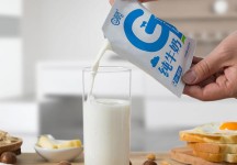 Liquid milk Tetra Pak pillow interlayer composite fastness testing program